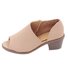 Dedo Espreitadela Zíper Pu Chunky Sapatos de bomba